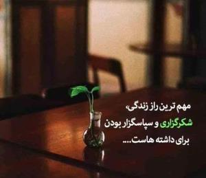 الهی شکرت💚