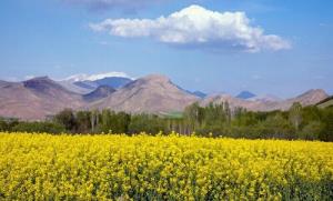 زندگیتون بی غم
