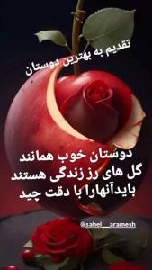 سلام دوستان گل 🏵🌸