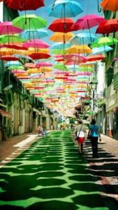 ☘️سلام عصرتون آروم☘️