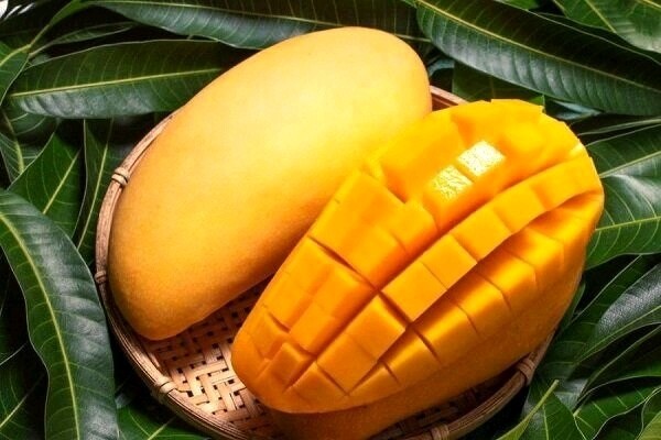 انبه 