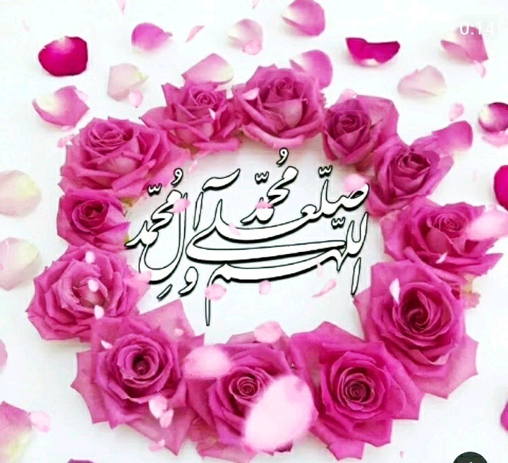 لطفا لایک نکنید⛔️