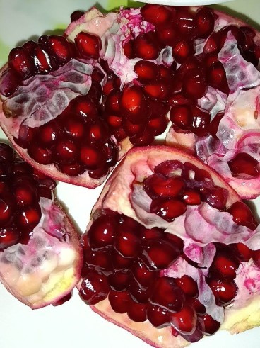 انار زودرس‌خوشرنگ😋