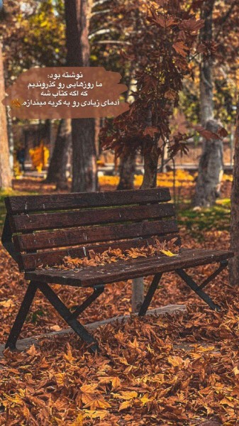 پاییز که می شود
حرف شال ....