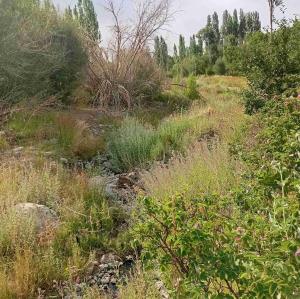 ای جان من ،جانان من ،که میتپد این خسته دل ،،از برای تو ،،رخصت بده تا که کنم ،،دل ناقابل را ،،فرش زیر پای تو ،،بهترزقلب ندارم چیزی دروجود ،،گرقابل بدونی ،،آن هم کنم من به فدای تو ،،ای جان من جانان من ،❤️❤️❤️❤️❤️🌹🌹🌹🌹🌹🌟🌟🌟🌟🌟🙏🏻🙏🏻🙏🏻🙏🏻🙏🏻