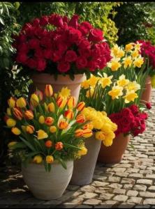 تقدیم به دوستان بامعرفت عکاس خونه درشادی وغم کنارمان هستن❤️