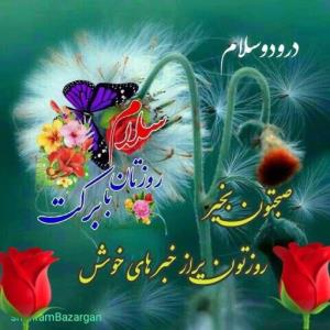 سلام دوستانم صبح همگی خوش 🦋⚘🦋⚘