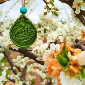 ❣#سلام_امام_زمانم❣

🌱هزار بار هم که 
بهار بیاید کافی نیست!

🌱تویی...ربیع الأنام همان بهار
که قرار است تیشه ای باشد
برای شکستنِ انجماد دل هایی،
که سالهاست یخ زده اند!
به گمانم حلول تو،نزدیک است!


🤲 اَللَّهُمَ عَجِّل لِوَلیِّکَ الفَرَج 🤲