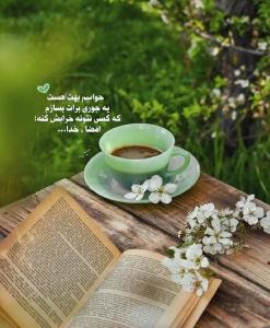 ،سلام،🌹