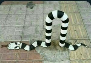 عجب خلاقیتی😁