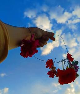 سلام صبح بخیر کپشن لطفا🌹💙🥰🥰