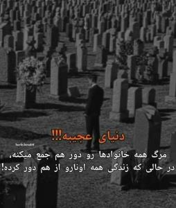 متأسفانه 👌