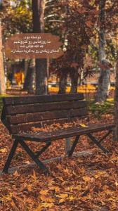 پاییز که می شود
حرف شال ....