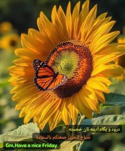 عمو غلام آرمسترانگ