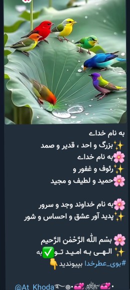 به نام خداوند بخشنده مهربان  که مهربانی را به ما آموخت 🌹❤️