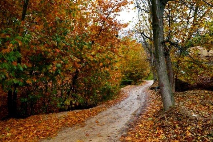 و باز هم پاییز 
دختر سرمست کوچه‌های عاشقی
