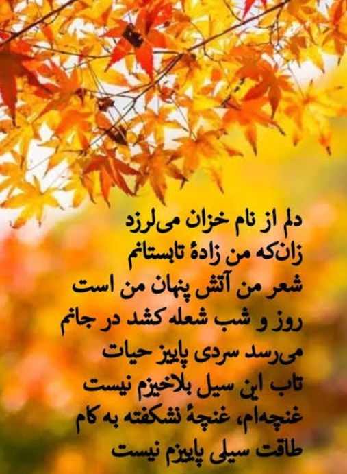 فریدون مشیری 👌🍂🍁