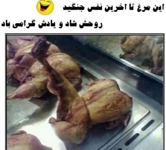 فک کنم مرغ مرحوم بروسلی بوده😂😂😂
