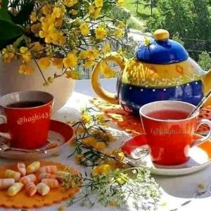چای عصر بخیر عزیزم نوجان خوش بگذره انشاالله 