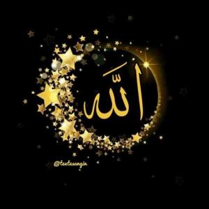 شب چه زیباست
سکوتش ، آرامشش
ستارگانش ، آسمانش
و چه زیباتر خل