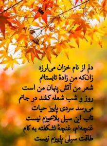 فریدون مشیری 👌🍂🍁