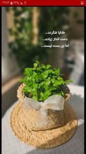 مرا یاری کن خدای مهربان