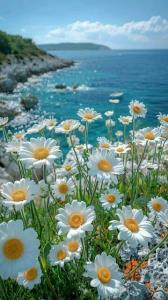حس خوب  زندگی  🌼