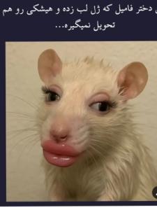😀😀