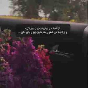 تا چیزی ندیدی باور نکن  بقول معروف شنیدن کی بود مانند دیدن .