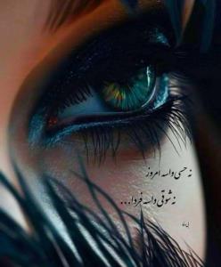 شبتون بی غم 