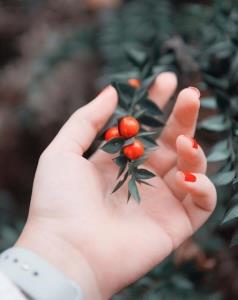 سلام زندگی عصرت قشنگ⚘♥️⚘🥀🥀🥀🍁🍁🍂🍂🍂