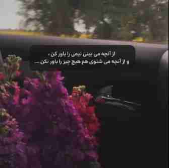 تا چیزی ندیدی باور نکن  بقول معروف شنیدن کی بود مانند دیدن .