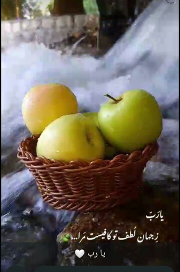 یا رَب زِ جَهان لُطفِ تو کافیست مَرا 🍁S