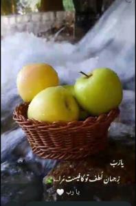 یا رَب زِ جَهان لُطفِ تو کافیست مَرا 🍁S