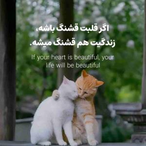 🪻عصرتون دلنشین🪻