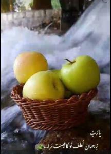 یا رَب زِ جَهان لطف تو کافیست مَرا 🍁S