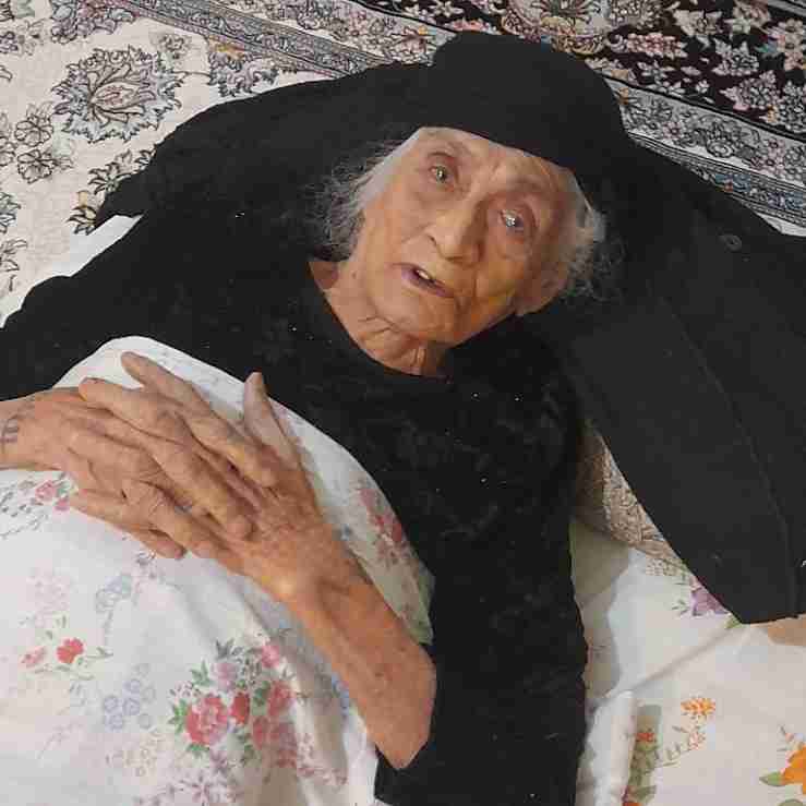 سه قرن ، سه حکومت و هفت پادشاه رو دیده.