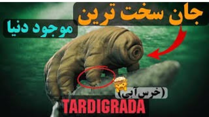 تاردیگرید موجودی که هرگز نمی‌میرد ☑️🌺