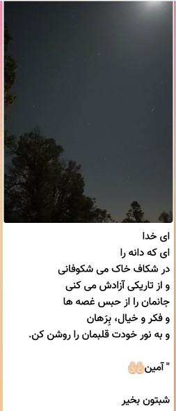 شبتون بخیر دوستان بامعرفت شبی پرازآرامش داشته باشید ✋️🌺🍁🍀