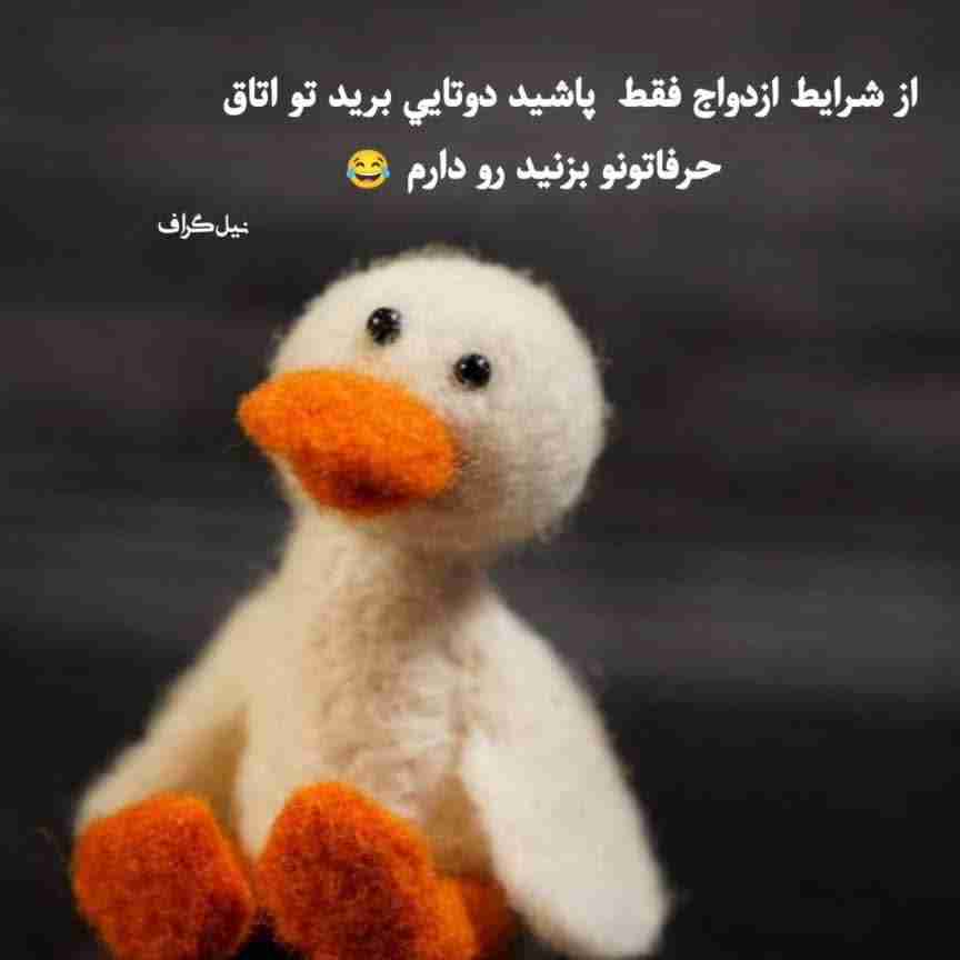 😂😂😂😂😜😜😜😜
