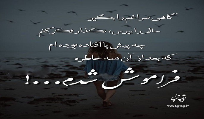گاهی سراغم را بگیر