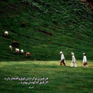 رفیق...