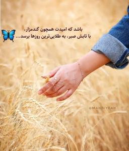 شـــــبــــ🌙خوش🌟🌟🌟