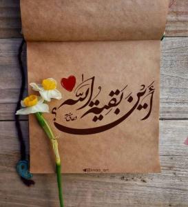 أین بقیة الله ﴿علیه السلام﴾🌹