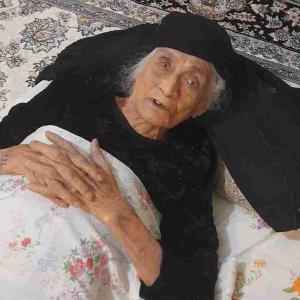 سه قرن ، سه حکومت و هفت پادشاه رو دیده.