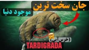 تاردیگرید موجودی که هرگز نمی‌میرد ☑️🌺