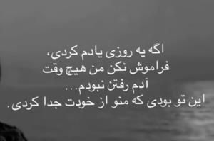 تو رفتی ولی من تاهمیشه بدونِ تو پای دلم میمونم