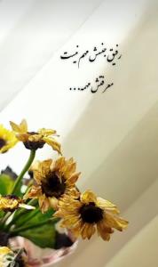 حرف حساب...