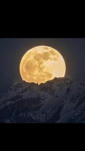 ماه منی 