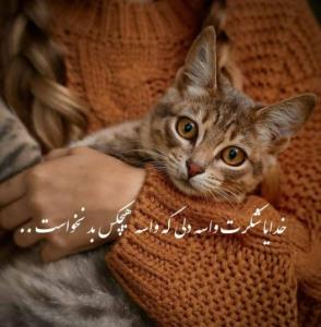 خدایا ❤️شکرت واسه هرقدمی که ما جلومیریم 